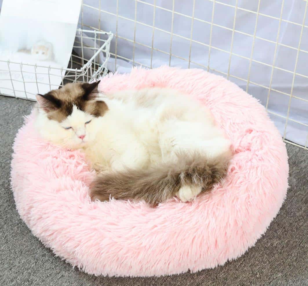 Weiches und beruhigendes Donut-Katzenkissen (schwarz
