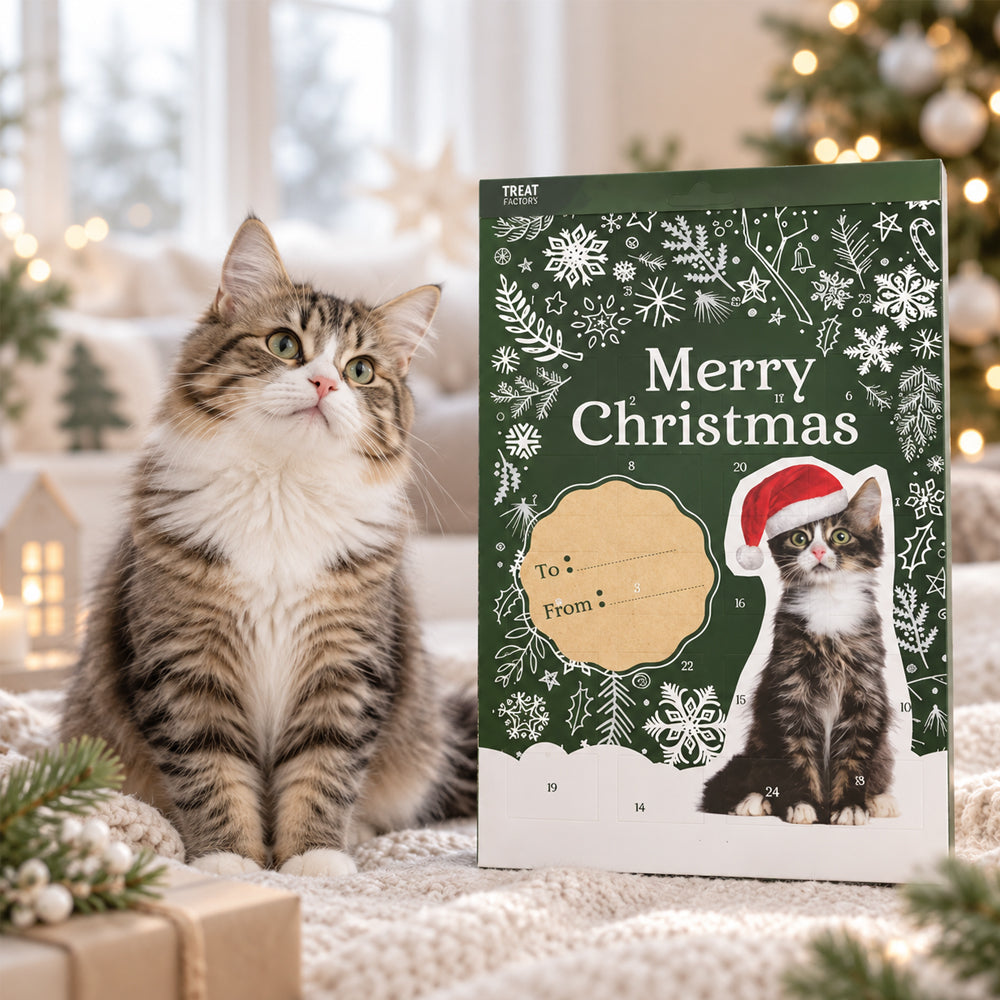 Adventskalender für Katzen – 24 Türchen mit leckeren Snacks