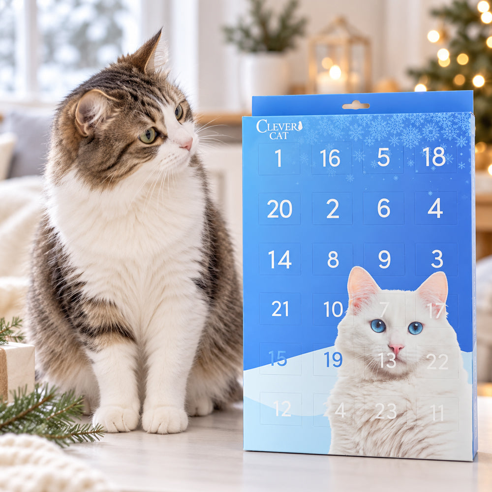 Adventskalender mit Snacks für Katzen – 24 Türchen mit kleinen Überraschungen