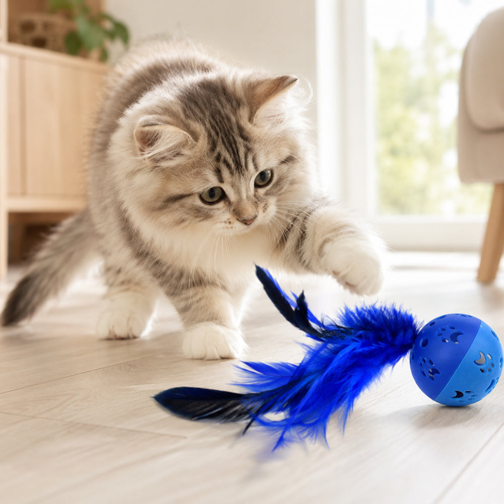 Katzenspielzeug mit Feder und Ball – spaßige Beschäftigung im 2er-Pack