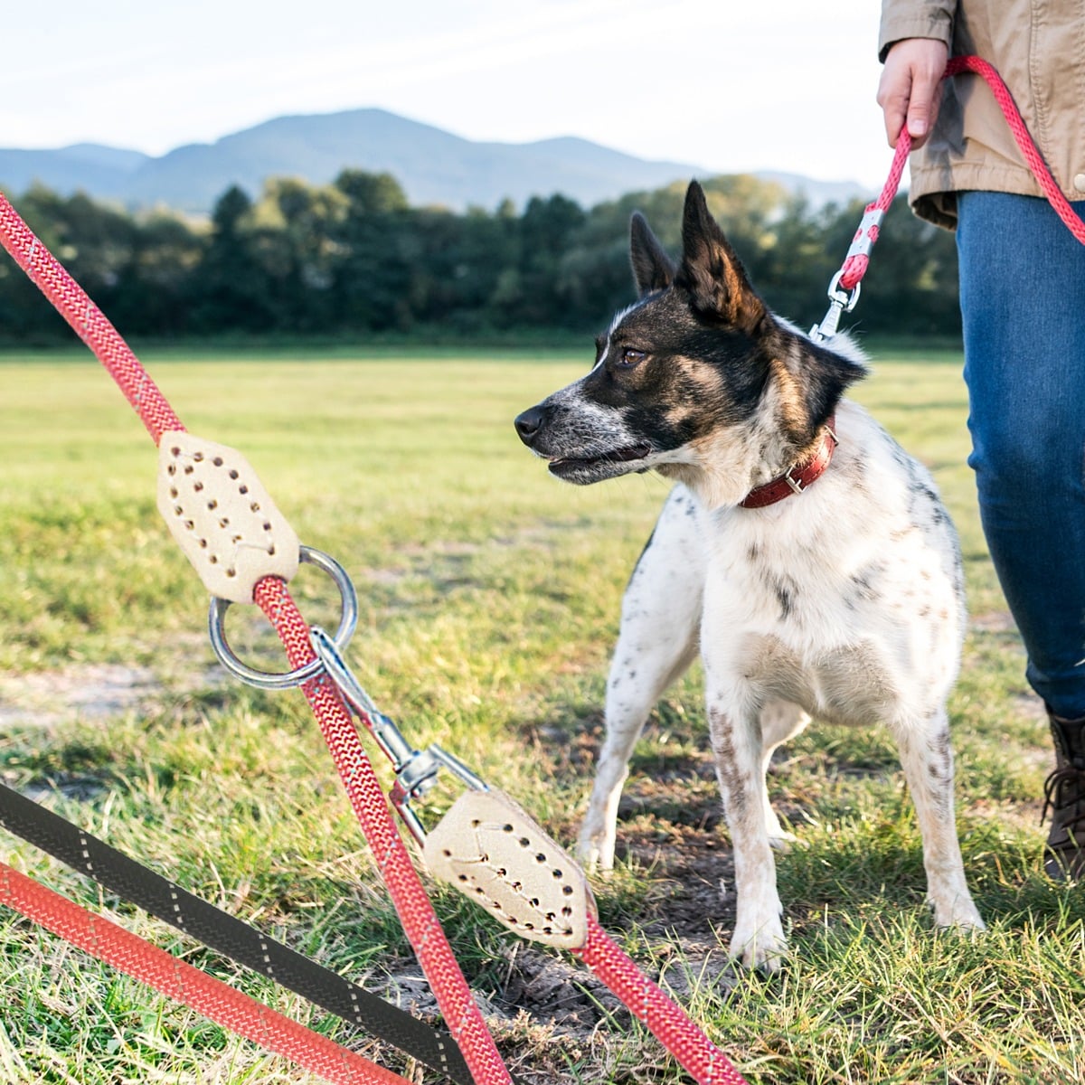 hundebett teddyfell Teddy-Hundebett mit Memory Foam | Drew's Dogwear main image 1