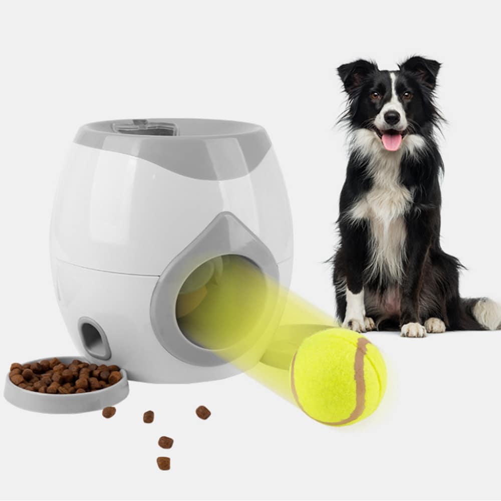 Leckerli- und Ballspender für Hunde