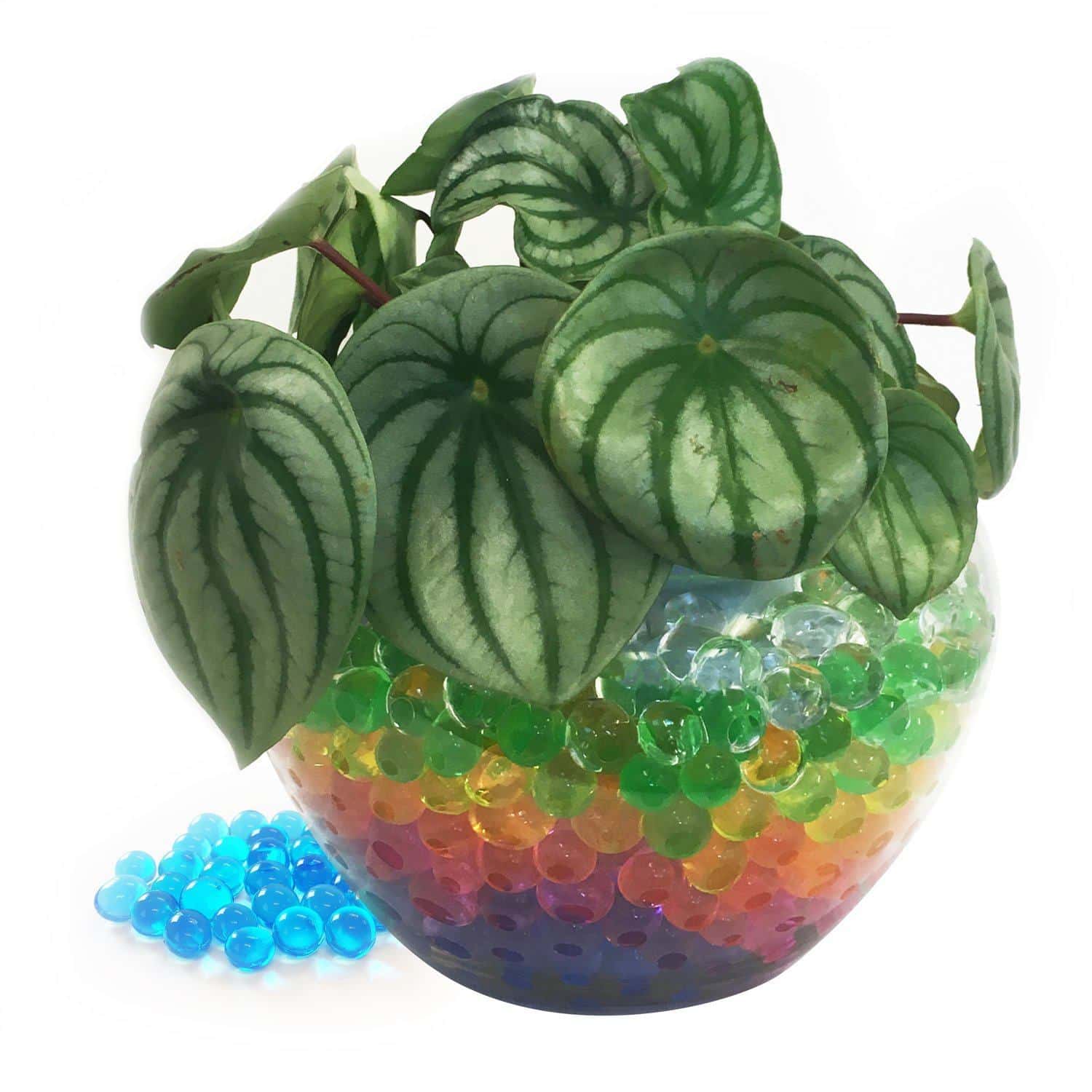 Wasserperlen 24 Beutel