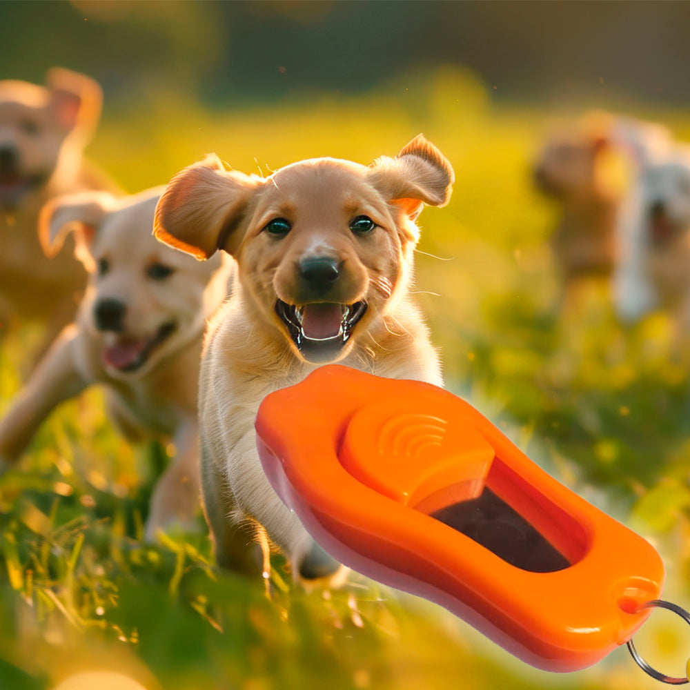 Hundeklicker mit Ton – 3-stufig verstellbarer Klicker