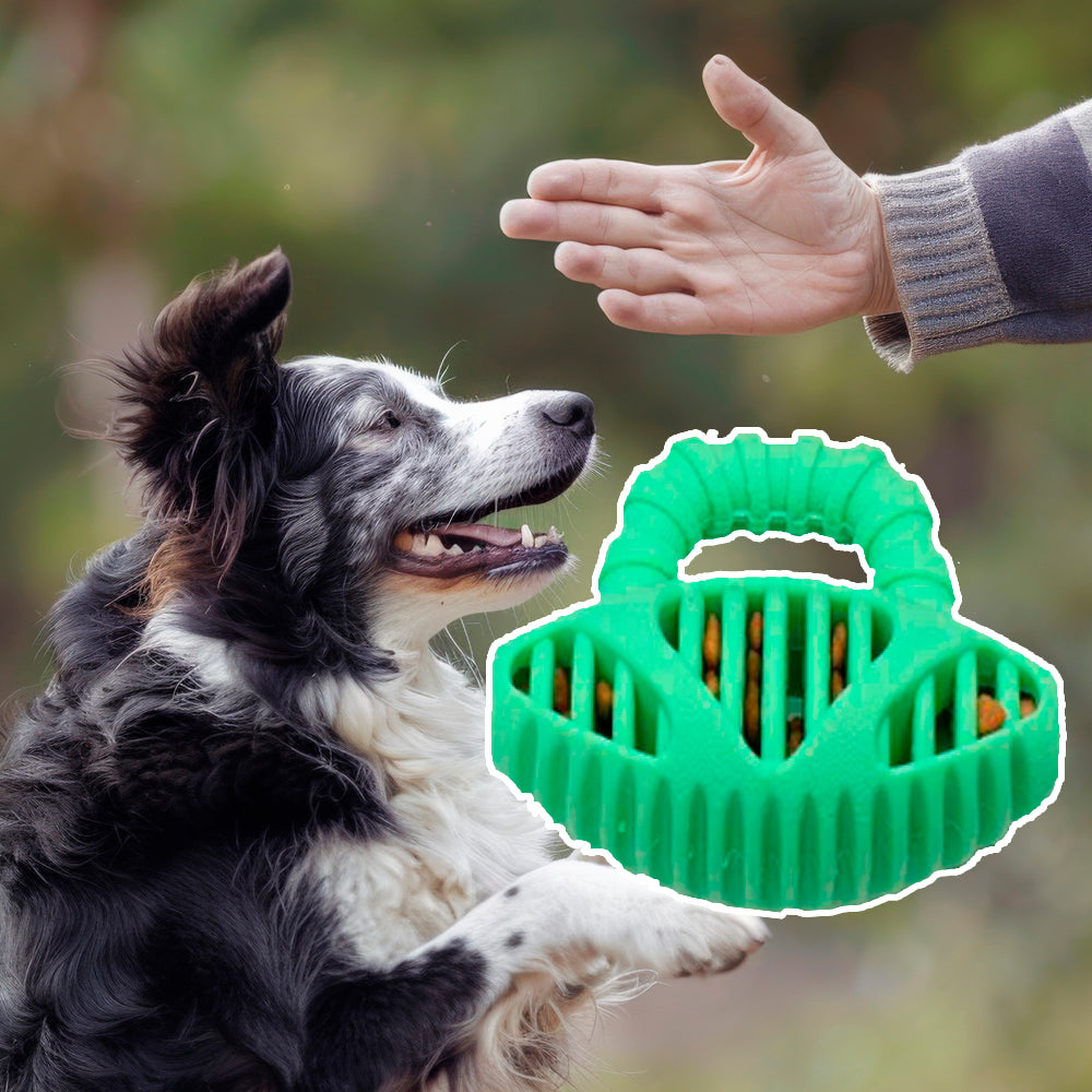 Hundespielzeug – Krokodilförmiger Kau-Stick zur Zahnpflege