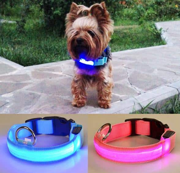 Hundehalsband mit LED-Licht