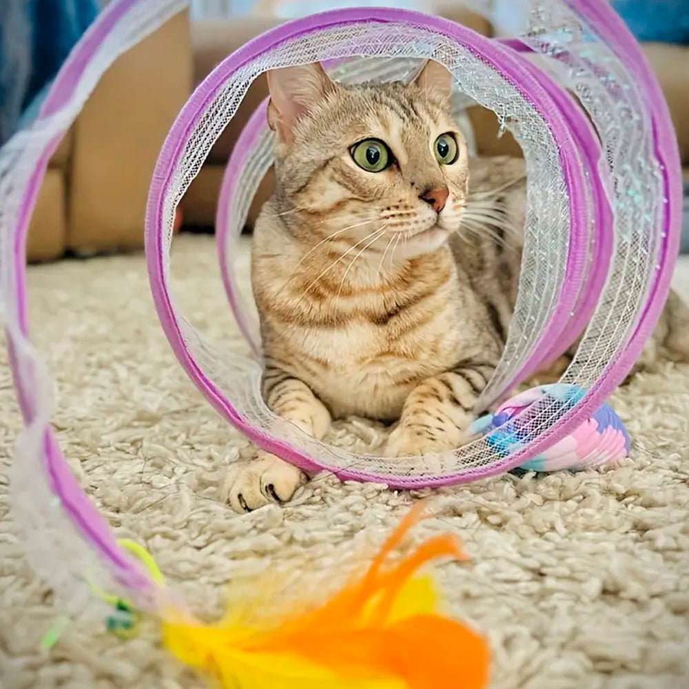 Katzentunnel mit Maus und Glocke