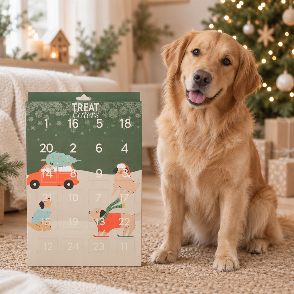 Adventskalender für Hunde – 24 Türchen mit Mini-Snacks