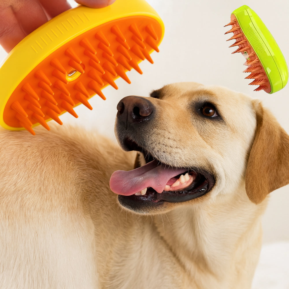 Hunde- und Katzenbürste 3-in-1 mit Sprühfunktion & Massage