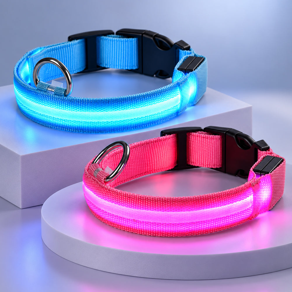 Hundehalsband mit LED-Licht – besser sichtbar beim Spaziergang