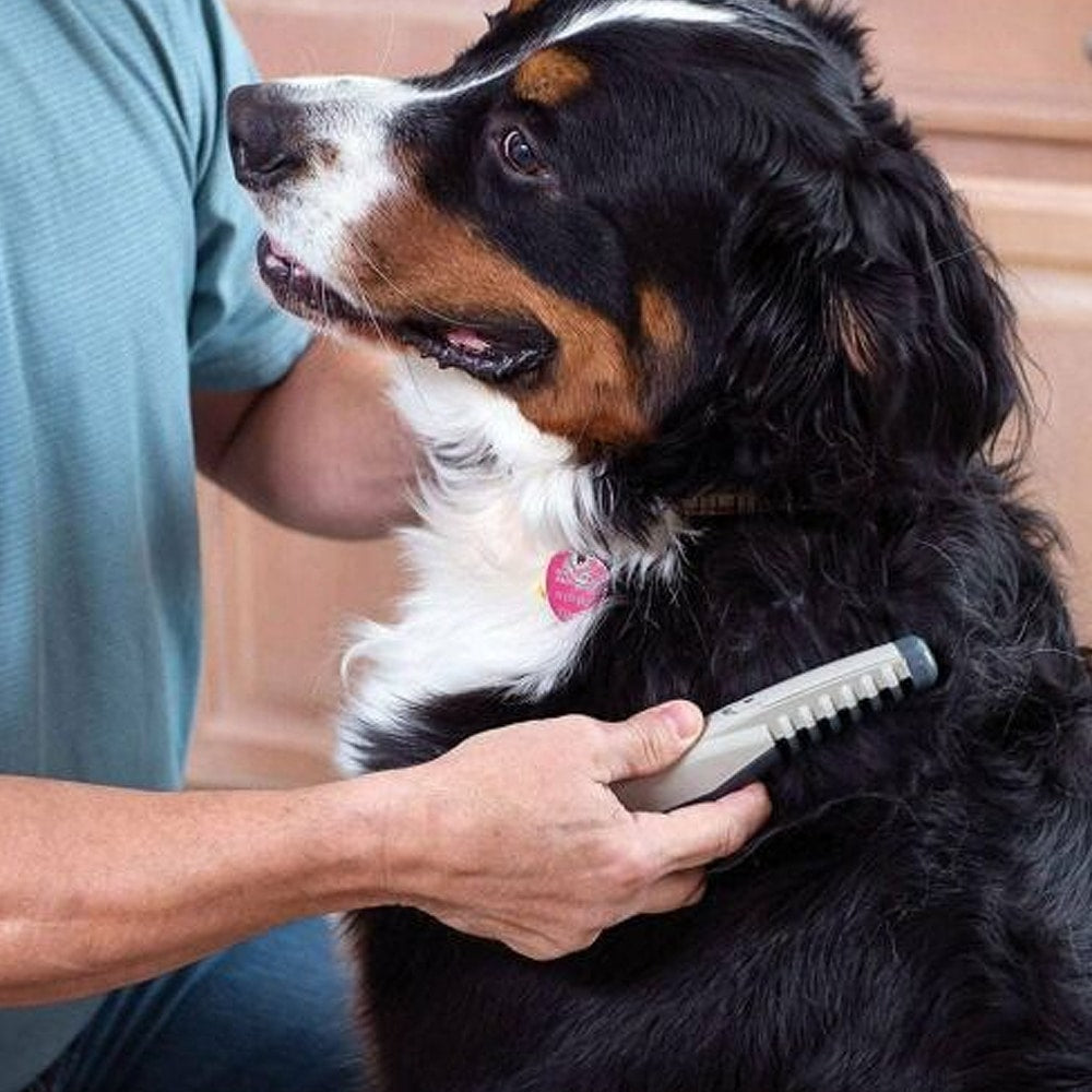 Filterkamm für Hunde und Katzen Power-Bürste für Haustiere