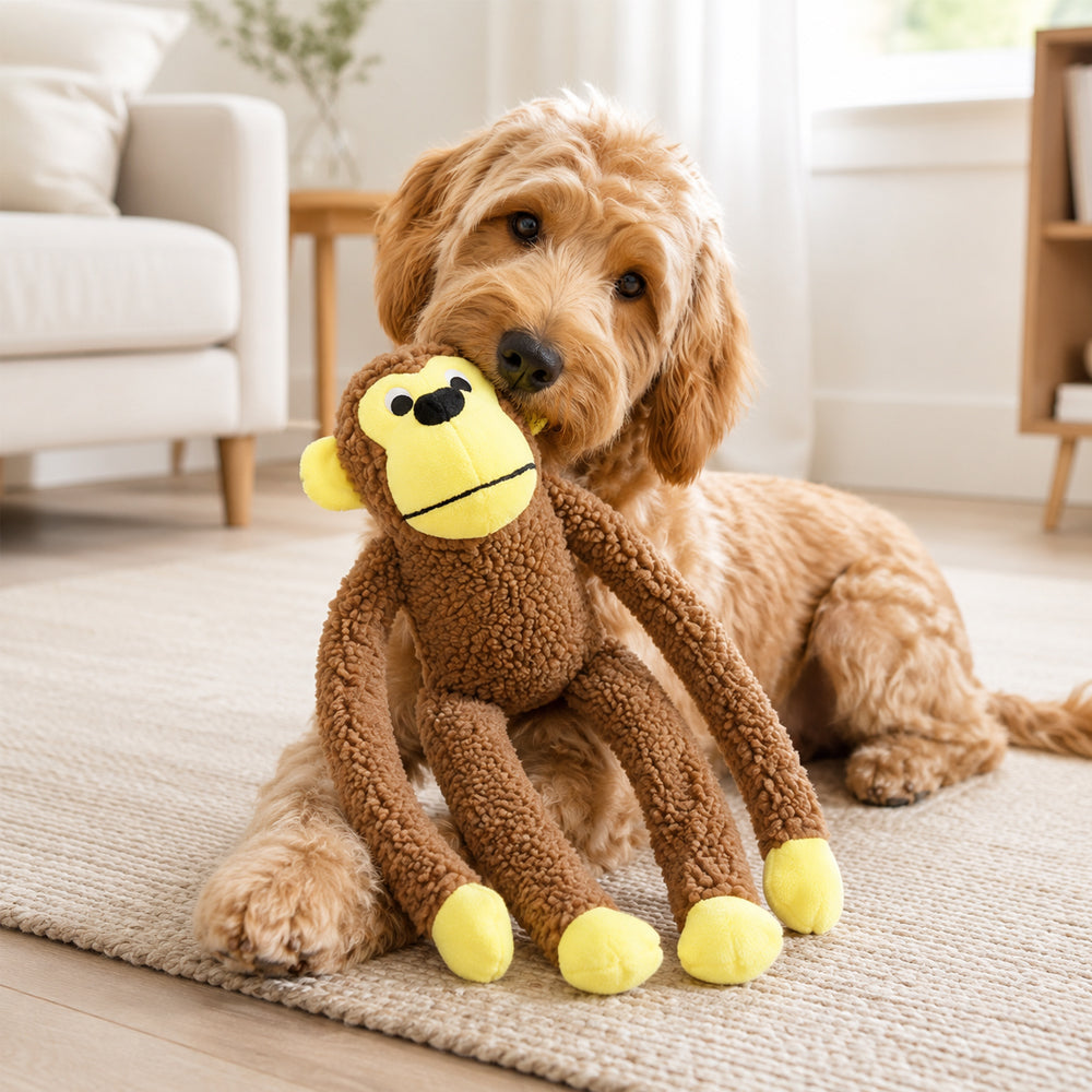 Hundespielzeug Affe mit Quietschfunktion – weiches und lustiges Plüschspielzeug
