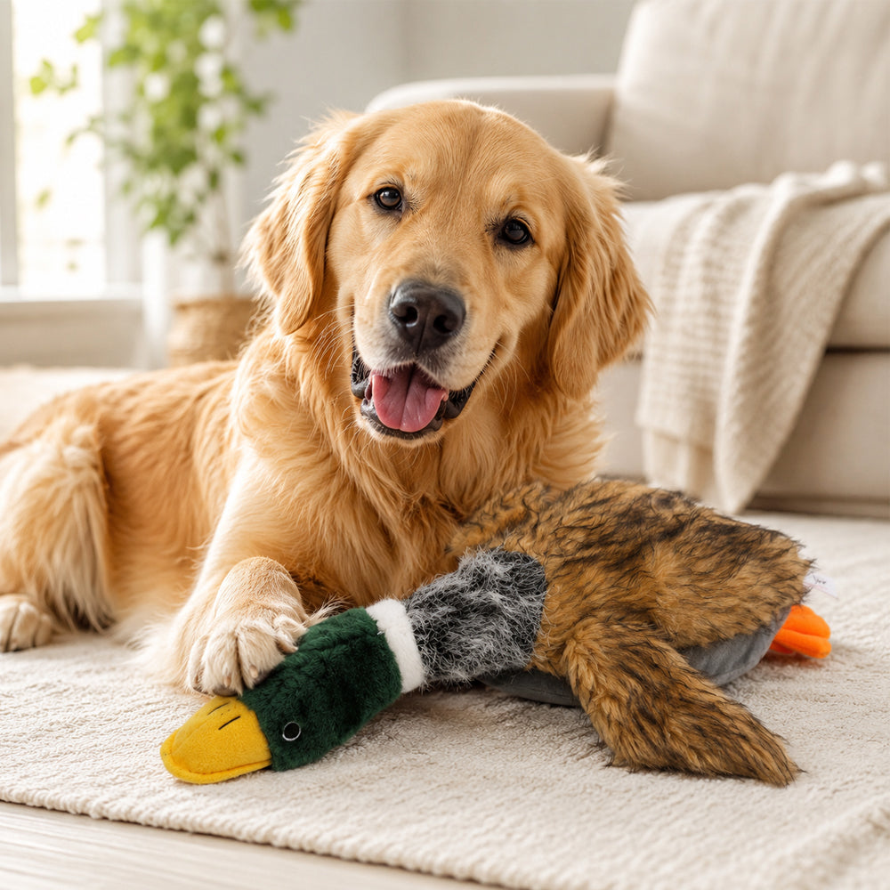 Plüsch-Enten-Hundespielzeug mit Sound – 2 Größen