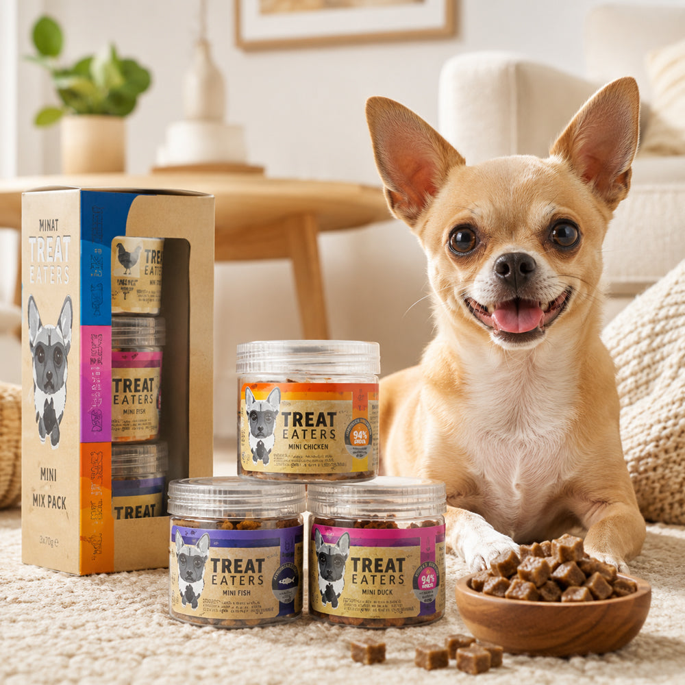 Treateaters Mini Mix Pack 3x70 g – praktische Mixpackung mit kleinen Hundesnacks