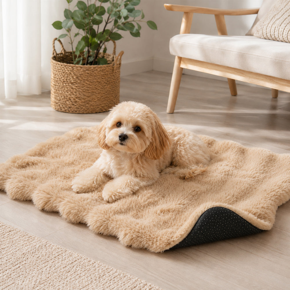 Weiche Hundedecke mit rutschfester Unterseite – komfortabler Liegeplatz für Hund und Katze