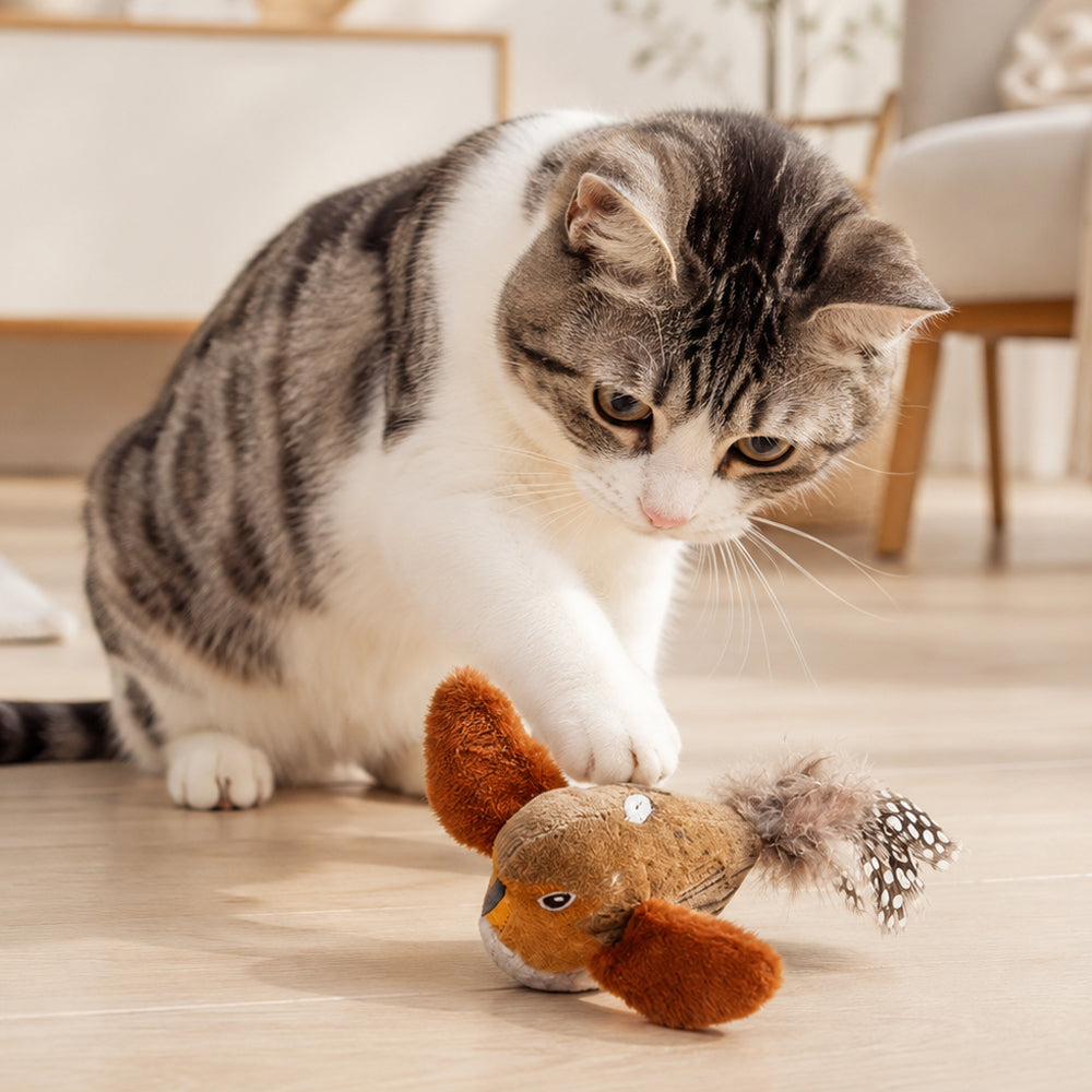 Interaktives Katzenspielzeug mit Vogelgeräusch – 2 Stk.