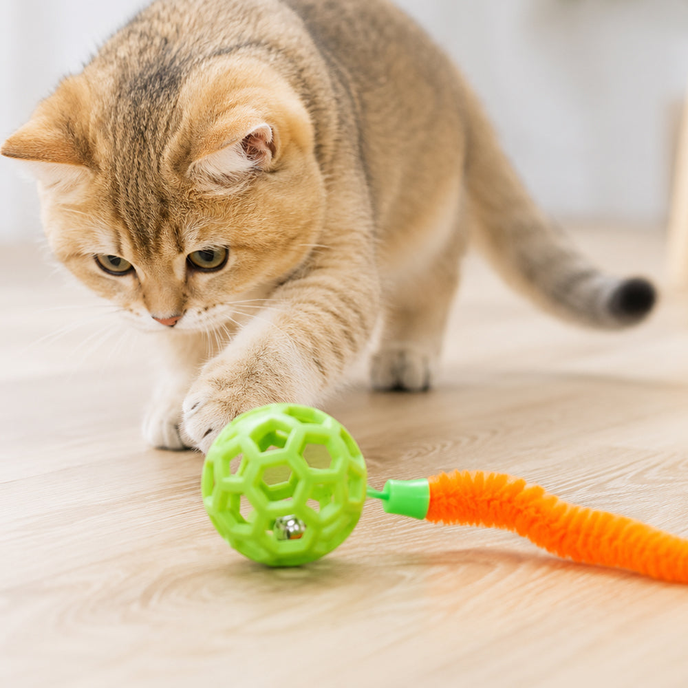 Interaktives Katzenspielzeug mit Glocke