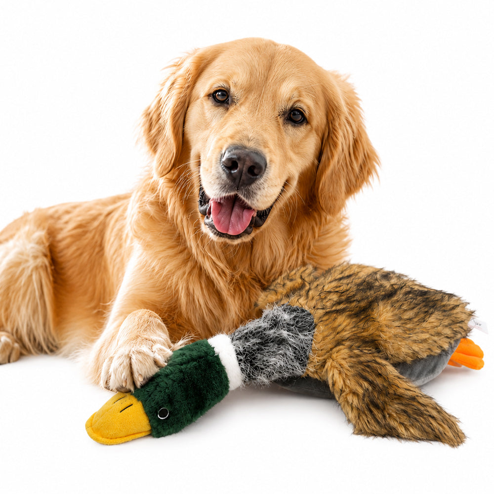 Plüsch-Enten-Hundespielzeug mit Sound – 2 Größen