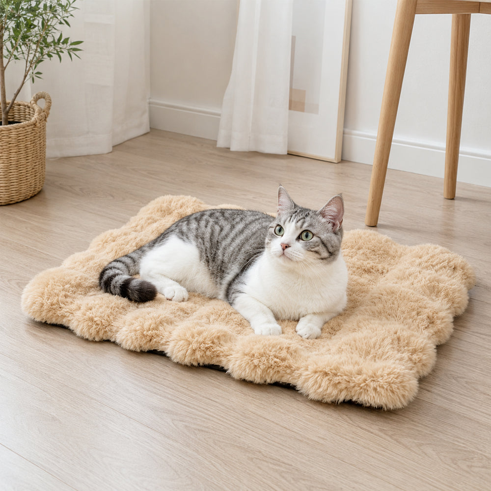 Weiche Hundedecke mit rutschfester Unterseite – komfortabler Liegeplatz für Hund und Katze