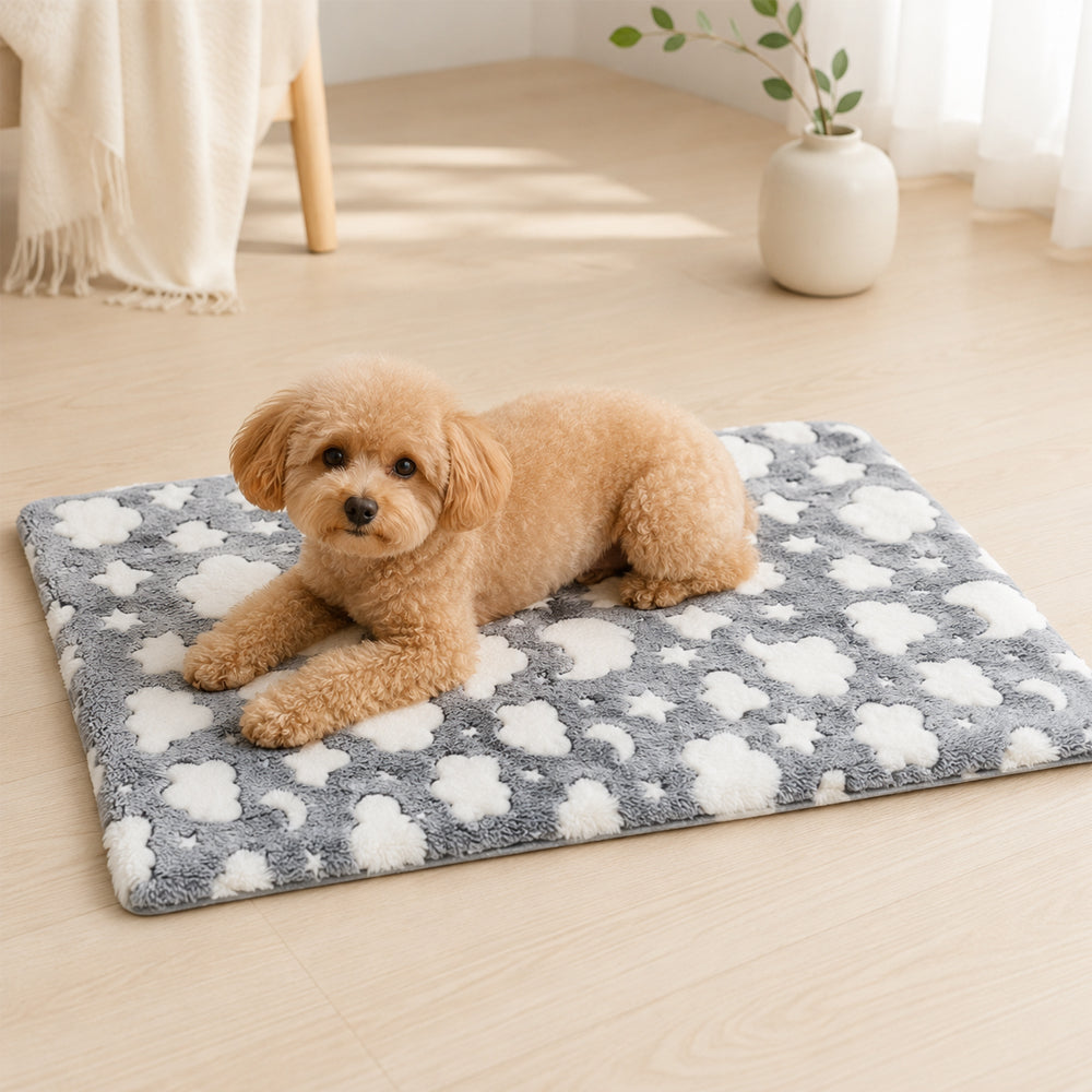Weiche Hundedecke mit Print – gemütlicher Ruheplatz für Hund und Katze