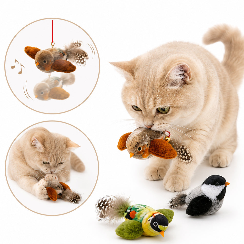 Interaktives Katzenspielzeug mit Vogelgeräusch – 2 Stk.