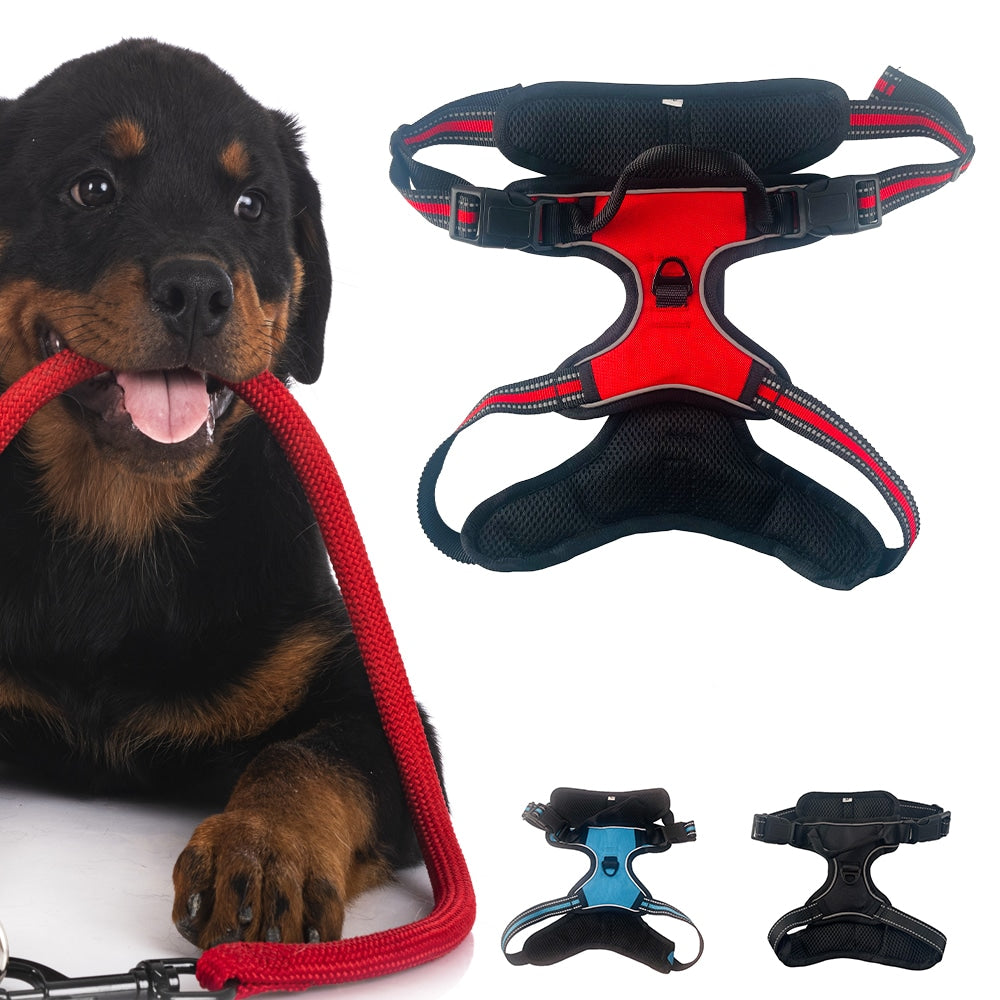 Weiches Luxus-Hundegeschirr mit Reflektoren – robust & wasserfest – Rot, Schwarz oder Blau