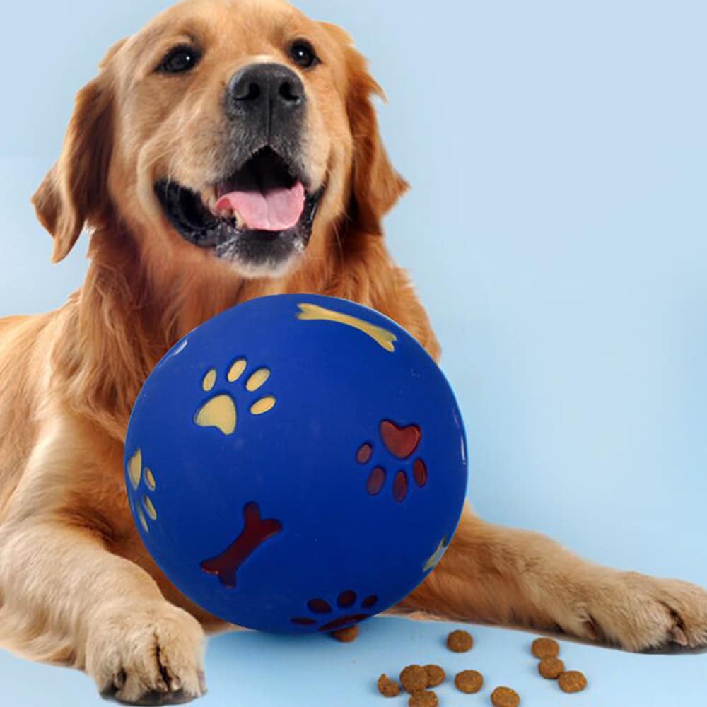 Hunde-Aktivitätsball – für Spielspaß und Beschäftigung Ihres Hundes