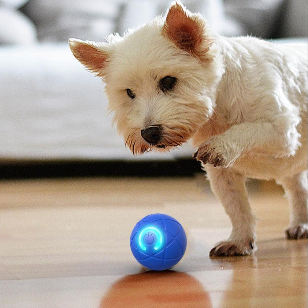 Interaktiver Automatischer Ball für Hunde und Katzen