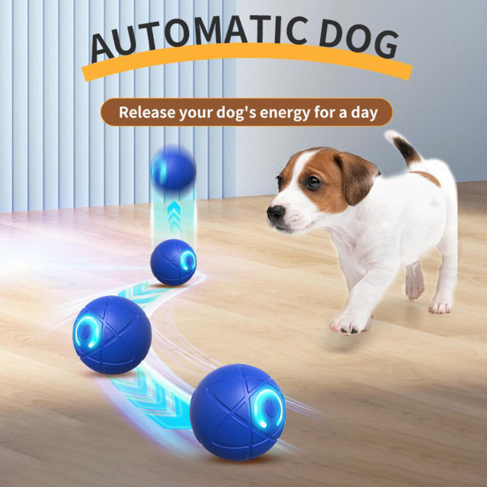 Interaktiver Automatischer Ball für Hunde und Katzen