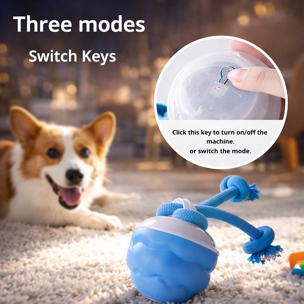 Intelligenter Aktivitätsball für Hunde – automatisch & interaktiv