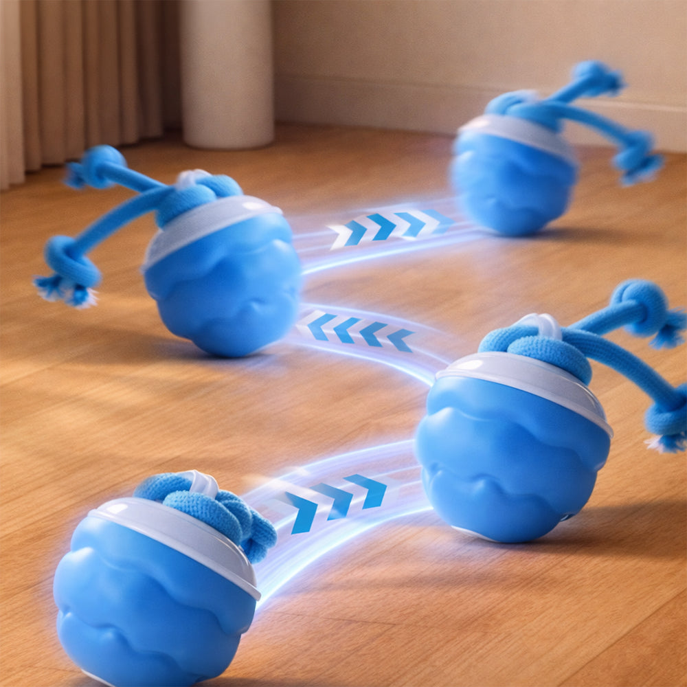 Intelligenter Aktivitätsball für Hunde – automatisch & interaktiv