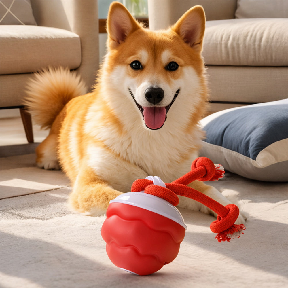Intelligenter Aktivitätsball für Hunde – automatisch & interaktiv