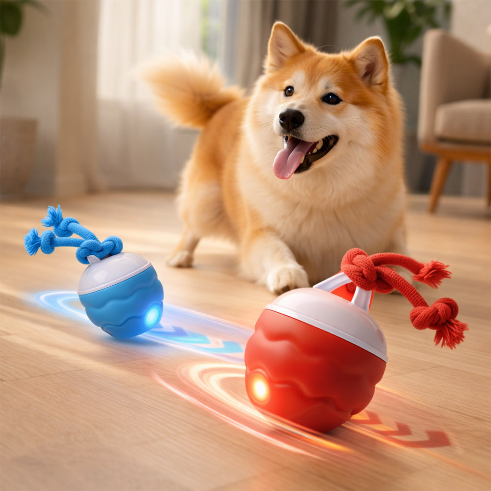 Intelligenter Aktivitätsball für Hunde – automatisch & interaktiv