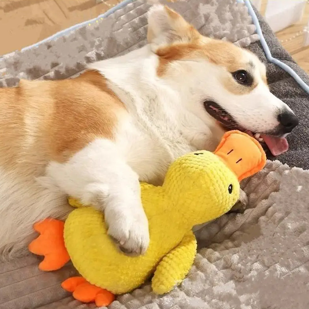 Hundespielzeug Weiche Ente mit Geräusch, Gelb oder Mintgrün