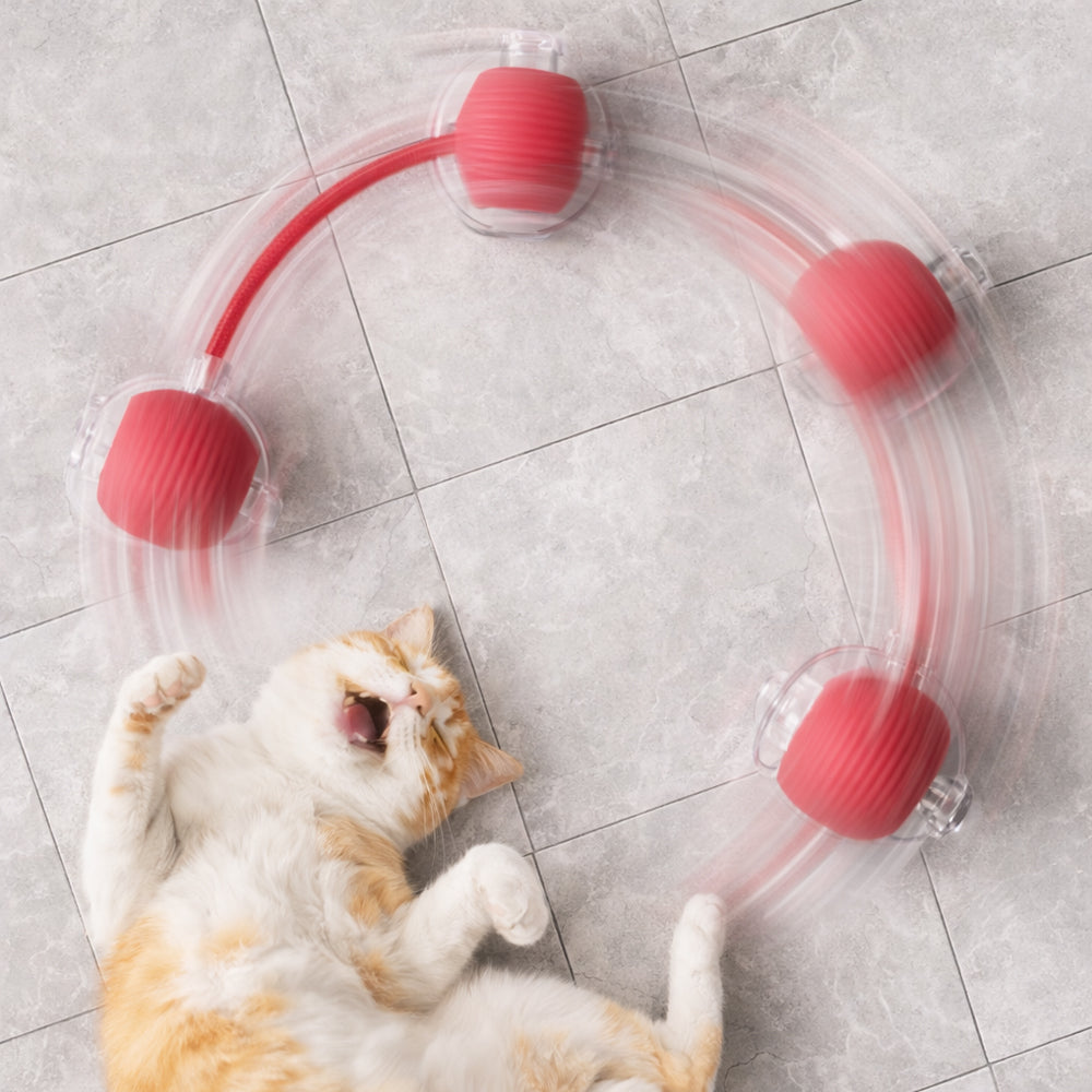 Smarte interaktive Katzenball mit Schnur
