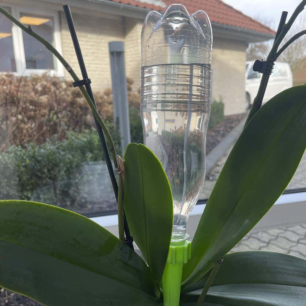 Selbstbewässerung für Topfpflanzen / Beete - Packung mit 6 Stk.