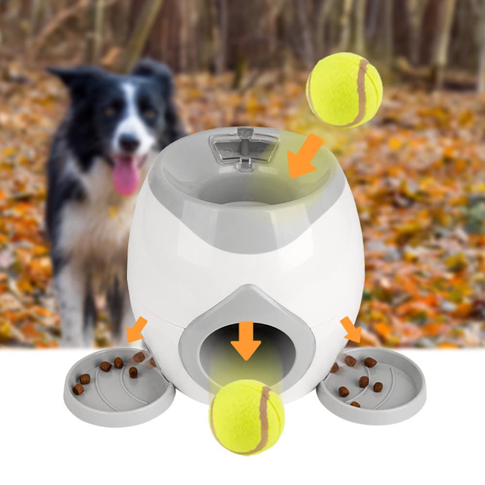 Leckerli- und Ballspender für Hunde