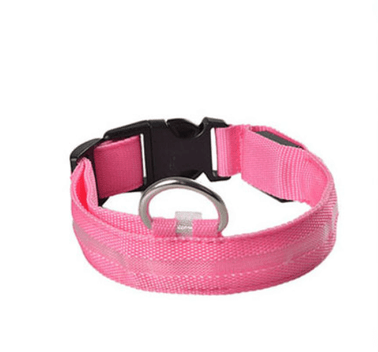 Hundehalsband mit LED-Licht