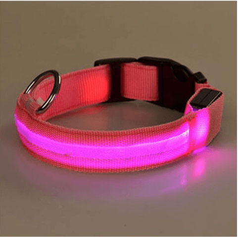 Hundehalsband mit LED-Licht