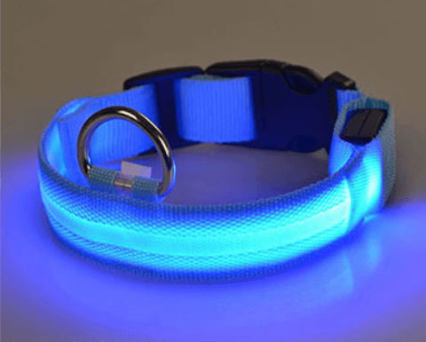 Hundehalsband mit LED-Licht