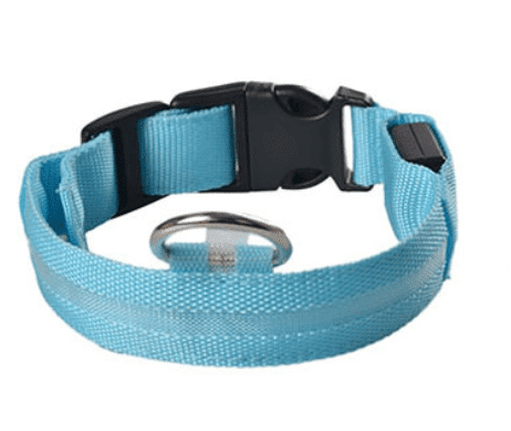 Hundehalsband mit LED-Licht