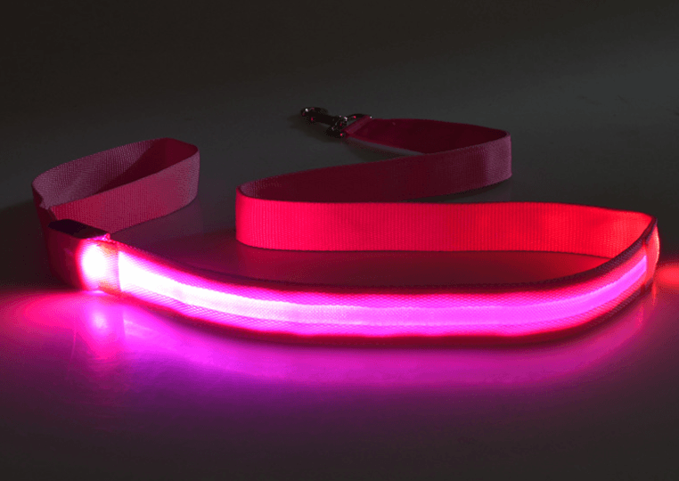 Hundeleine mit LED-Licht