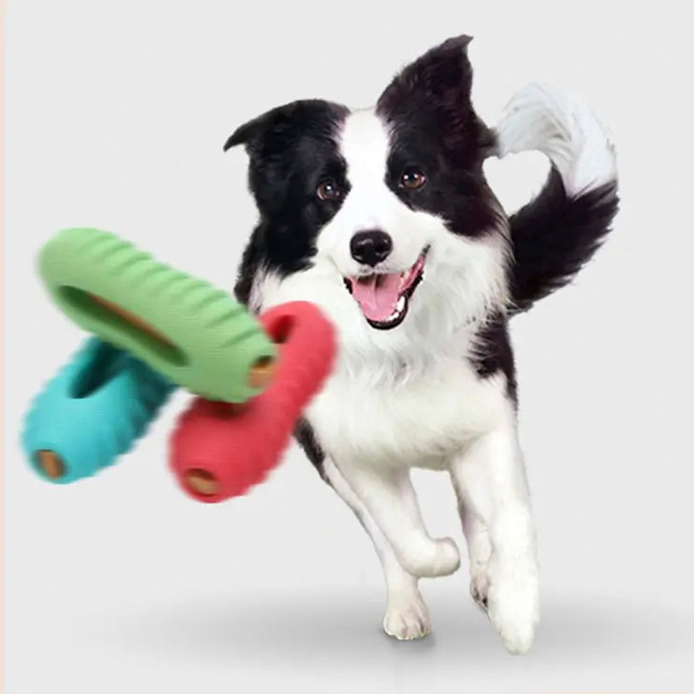 Hundespielzeug – Krokodilförmiger Kau-Stick zur Zahnpflege