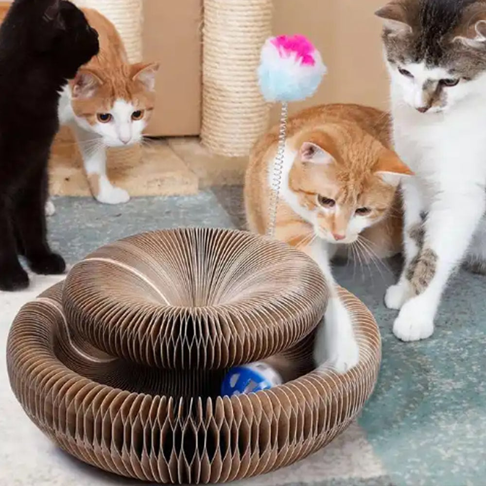 Katzenkratzbrett und Spielzeug mit Ball