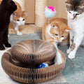 Katzenkratzbrett und Spielzeug mit Ball