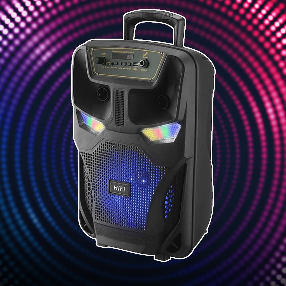 Soundbox 8" - LED-Licht und Mikrofon