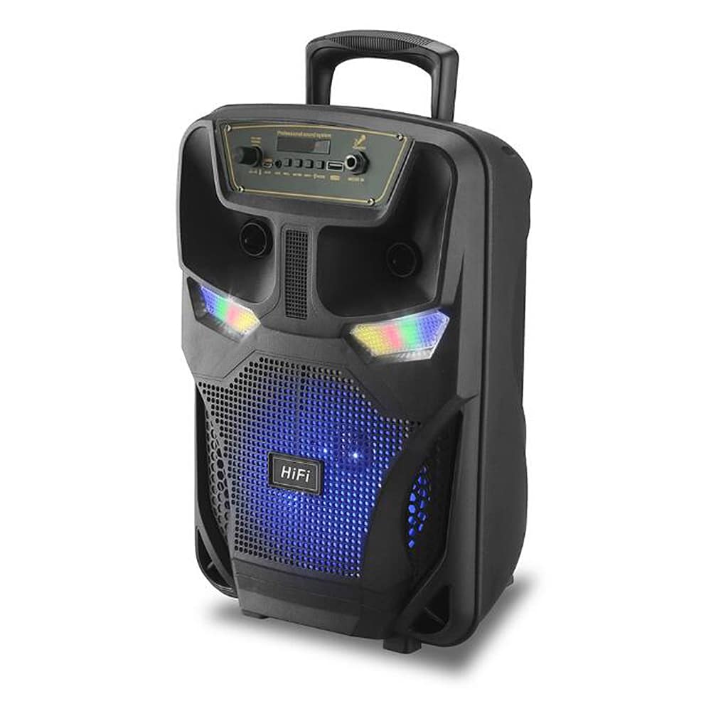 Soundbox 8" - LED-Licht und Mikrofon