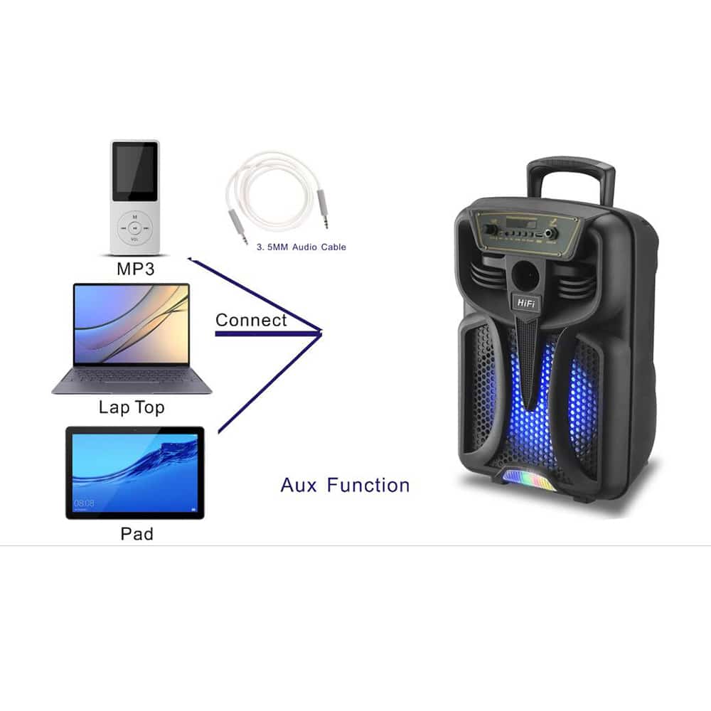 Soundbox 8" - LED-Licht und Mikrofon