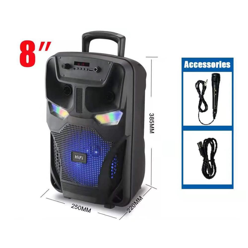 Soundbox 8" - LED-Licht und Mikrofon