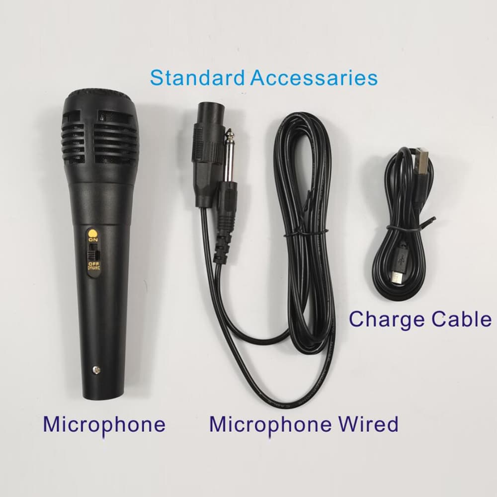 Soundbox 8" - LED-Licht und Mikrofon